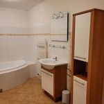 Rent 2 bedroom apartment of 150 m² in Pardubice