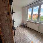 Rent 1 bedroom apartment of 38 m² in Chomutov