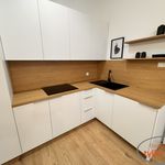 Rent 2 bedroom apartment of 45 m² in Poznań
