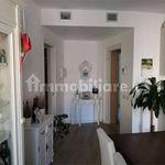 Rent 4 bedroom apartment of 120 m² in Verona
