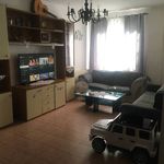 Rent 4 bedroom apartment of 74 m² in Pisa