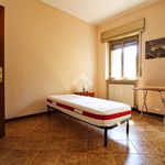 Affitto 4 camera appartamento di 83 m² in Pavia