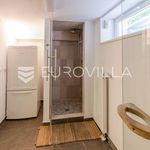 Rent 4 bedroom house of 350 m² in Zagreb