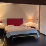 Rent 1 bedroom apartment in Plaisance-du-Touch