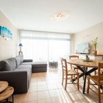 Rent 1 bedroom apartment in Ostend