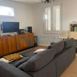 Rent 4 bedroom apartment of 200 m² in Cesena