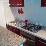 Rent 1 bedroom apartment of 45 m² in San Benedetto del Tronto