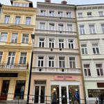 Pronajměte si 1 ložnic/e byt o rozloze 17 m² v Karlovy Vary