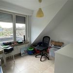 Rent 2 bedroom apartment in Grobbendonk
