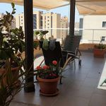 Rent a room in Alacant