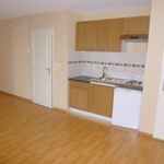 Rent 1 bedroom apartment of 32 m² in Nancy