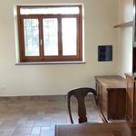 Rent 1 bedroom apartment of 80 m² in Ariccia
