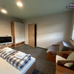 Wynajmij 8 sypialnię dom z 220 m² w Wisła