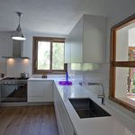 Rent 5 bedroom house of 320 m² in Sant Josep de sa Talaia
