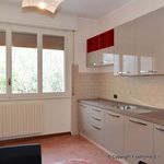Rent 4 bedroom apartment of 90 m² in Arezzo