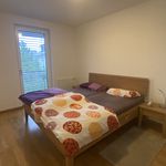 Rent 3 bedroom apartment of 78 m² in Mettersdorf am Saßbach