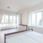 Rent 1 bedroom house of 190 m² in Praha