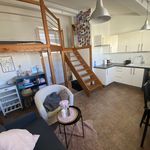 Rent 1 bedroom apartment of 24 m² in Vienne