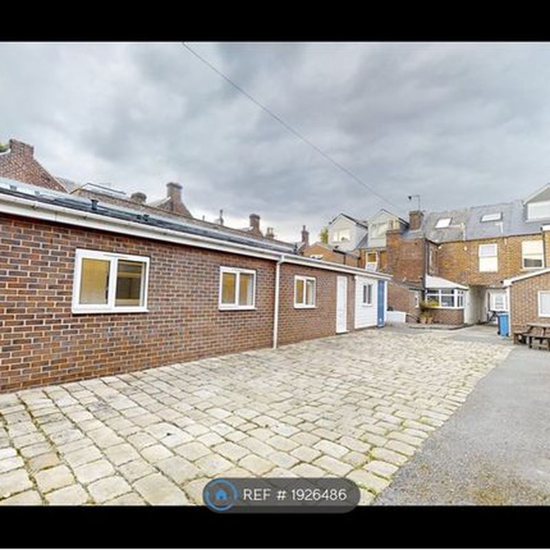 Detached house to rent in Rosedale Road, Sheffield S11 Sharrow Vale