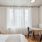 Rent 2 bedroom apartment of 20 m² in Berlin
