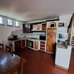 Affitto 6 camera appartamento di 280 m² in Bertinoro