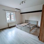 Huur 4 slaapkamer huis van 160 m² in Gembloux