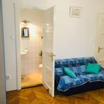 Rent 1 bedroom apartment of 35 m² in Budapest