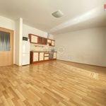 Rent 1 bedroom apartment of 33 m² in Hostivice