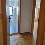 Rent 2 bedroom apartment of 47 m² in Kirchberg