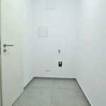Rent 4 bedroom apartment of 134 m² in Leipzig