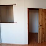 Rent 1 bedroom apartment of 42 m² in České Budějovice