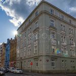 Rent 4 bedroom apartment of 110 m² in Praha