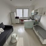 Rent 1 bedroom apartment of 33 m² in Číhošť