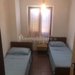 Rent 3 bedroom apartment of 65 m² in Budoni