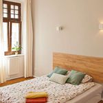 Rent a room of 171 m² in Wrocław