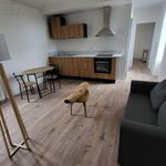 Rent 1 bedroom apartment of 40 m² in Cosne-Cours-sur-Loire