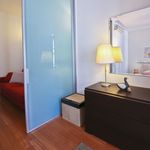 Affitto 1 camera appartamento di 46 m² in Firenze