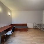 Rent 1 bedroom apartment of 28 m² in Poznan