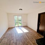 Rent 2 bedroom apartment of 48 m² in Bílina