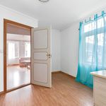 Rent 1 bedroom apartment in Bergen