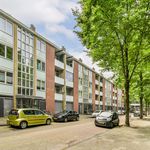Rent 4 bedroom apartment of 77 m² in Amsterdam