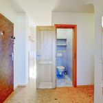 Rent 3 bedroom apartment of 72 m² in Sezemice