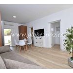 Rent 2 bedroom apartment of 53 m² in Chiclana de la Frontera