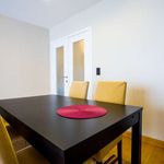 Cozy 2-bedroom apartment for rent in Ixelles, Brussels