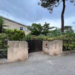 Rent 3 bedroom apartment of 61 m² in Borgo