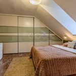 Rent 5 bedroom house of 140 m² in Ostrava