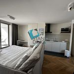 Appartement de 50 m² avec 2 chambre(s) en location à lille