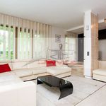 Rent 5 bedroom apartment of 215 m² in Warszawa