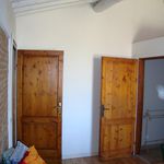 Affitto 1 camera appartamento di 50 m² in Pontedera