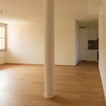 Rent 4 bedroom apartment in Novazzano